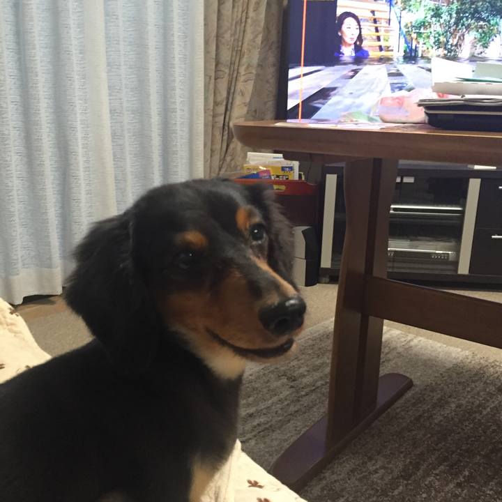 A944d826 9d8e 4594 b4f8 df66eb100760