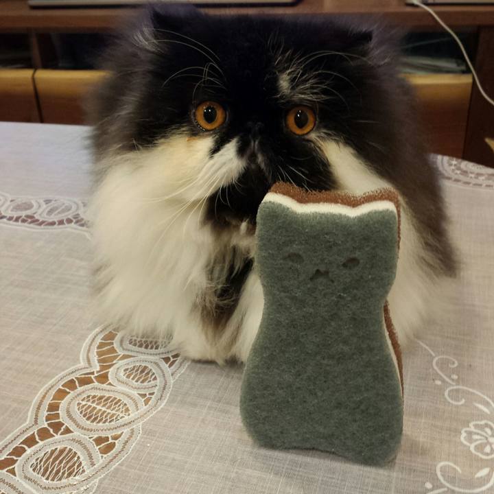 A94644b3 1091 423b 9855 ec29c811d879