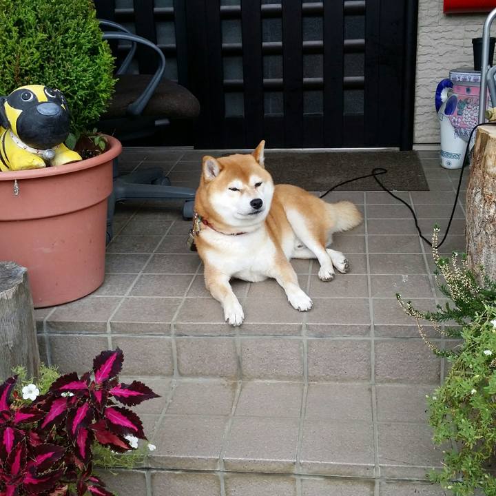 A9466577 88f4 4a27 a111 bcc23095c1ad