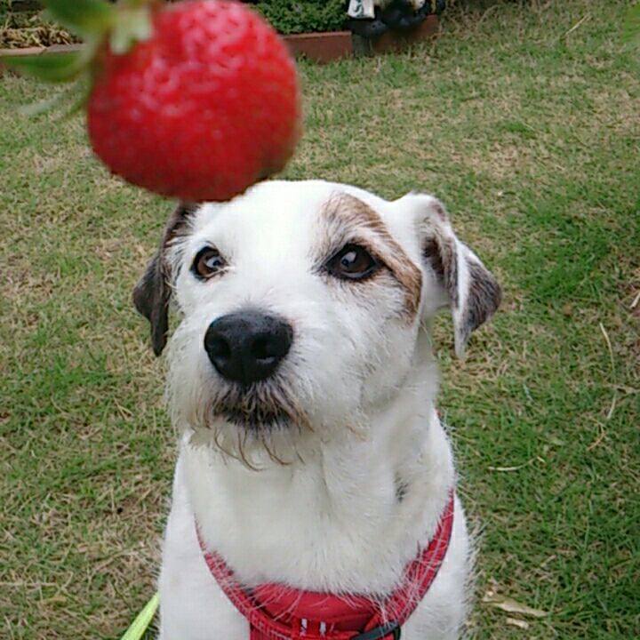 A9479245 ec52 4c48 9a6d ec79077dac3f