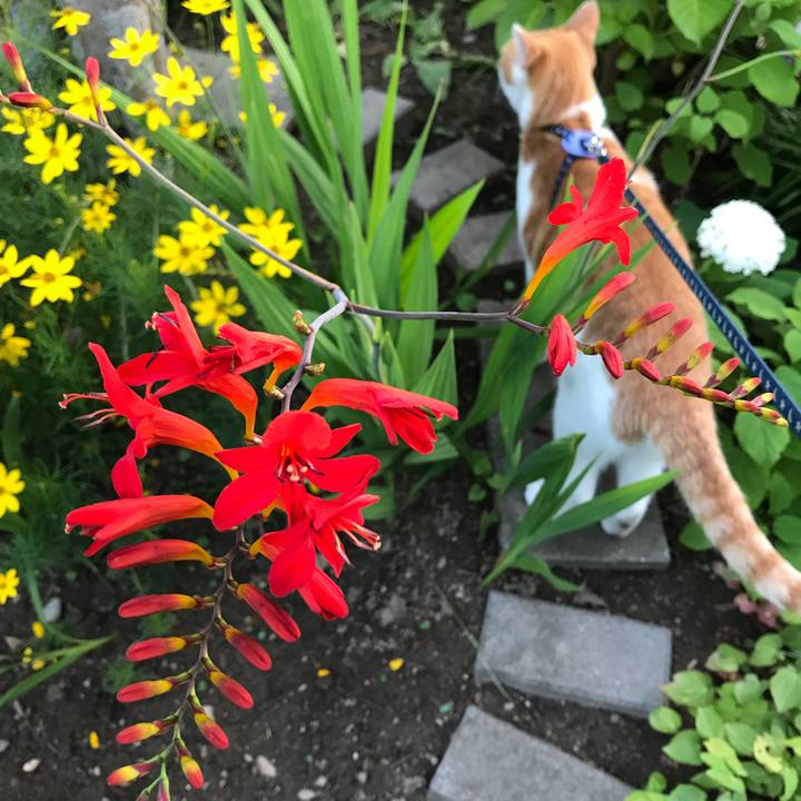 A947b4c6 d56b 4107 bee6 6eaa51e31e45