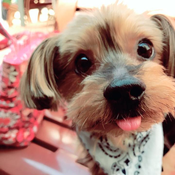 A9485c3e a020 4d23 86c6 0576c7ea6be5