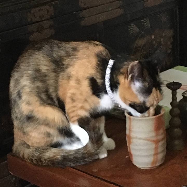 A948b36a 1533 4bf6 b3d5 573a0f8d4fbb