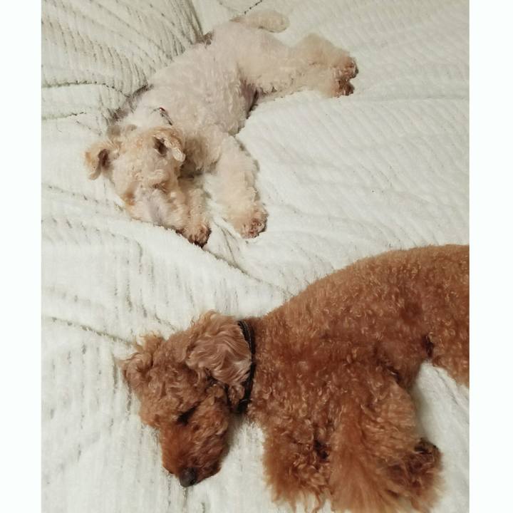 A948b5cd 4b97 4ab6 92df 314832f0c162