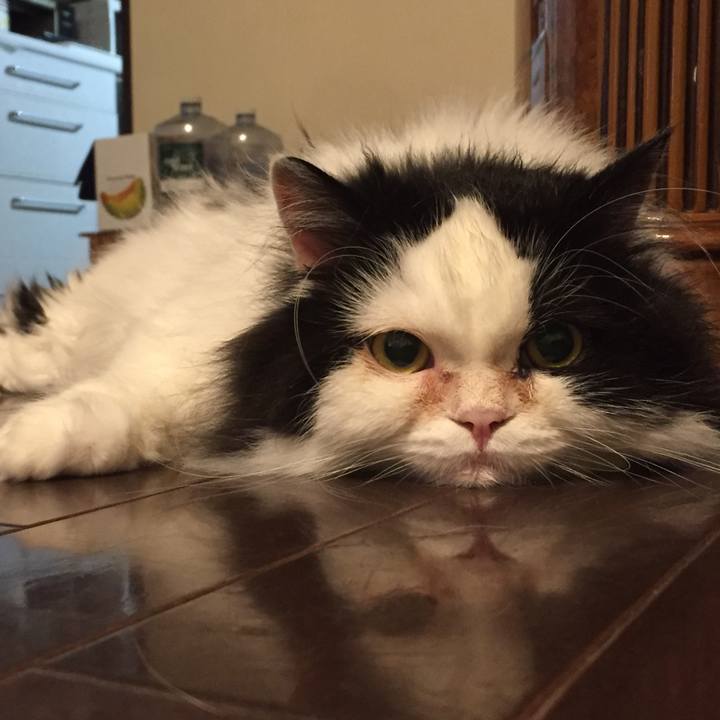 A948de46 0663 48a2 904c ff996cf29c5f