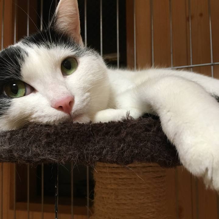 A94944d2 5ae8 46b4 9280 0d8b80bcab75