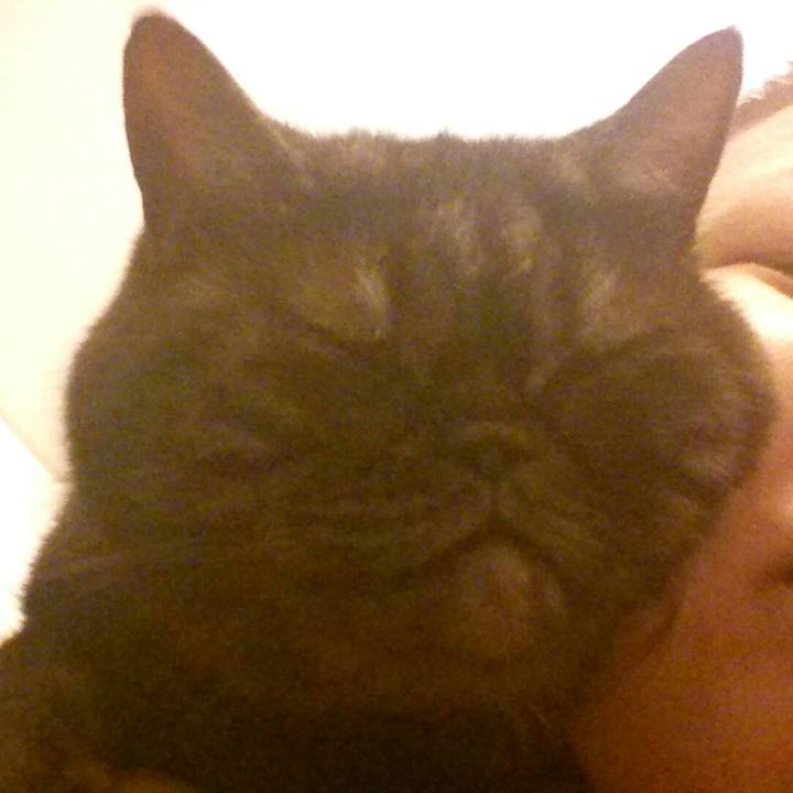 A949574c a6a5 4cab 8b99 c31812329109