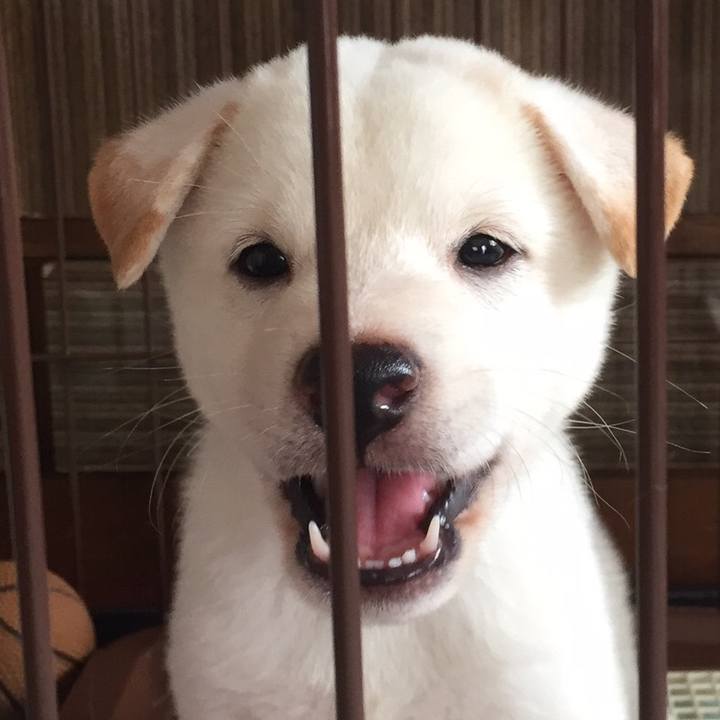 A9495ec9 8380 4dbc bcad 9ae703f870d9