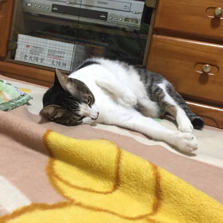 A949dffe 7f0d 4f90 ba71 c476f82341f6