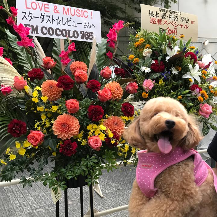 A949e22c a9c0 4724 9578 0492ed0b89b3