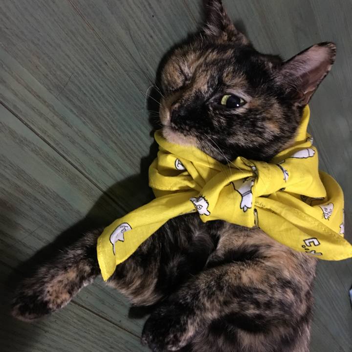 A949ed57 7016 4f69 a392 ebe9c039c307