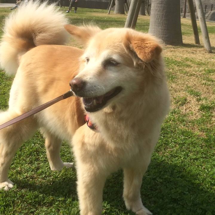 A94a090f 25f3 450e a5ce 62377d5777a9