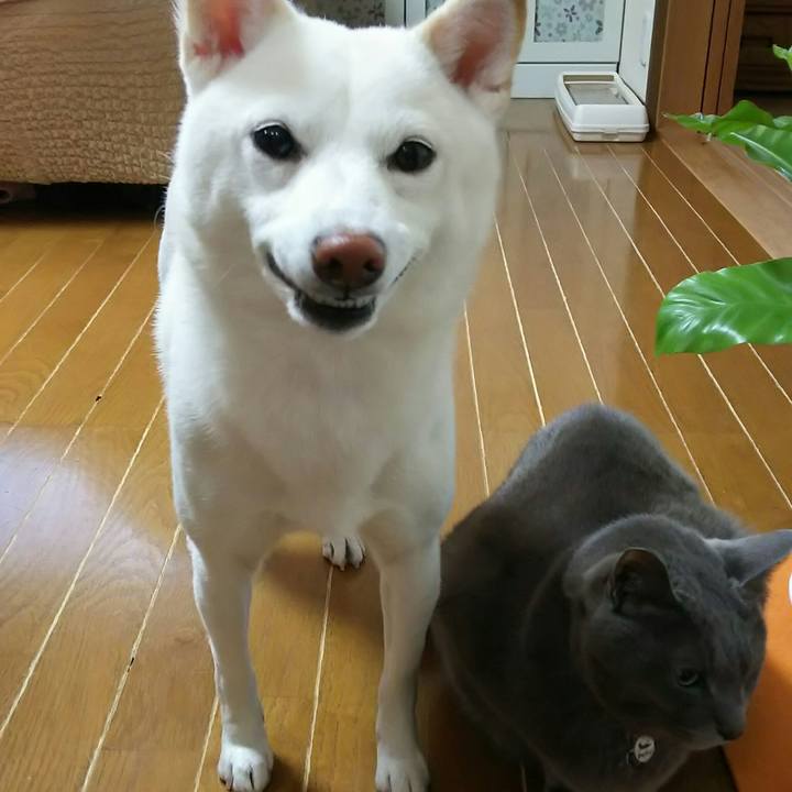 A94b06cf b99d 4162 92d9 131b36a81ada