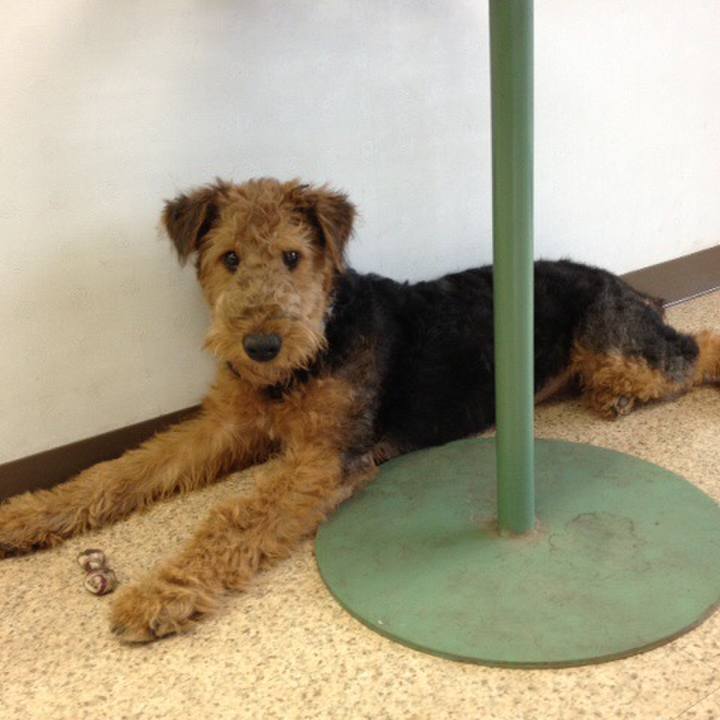 A94b3079 d36b 49ff b460 a51c80117452