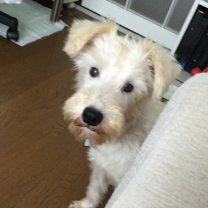 A94b8fe8 63e8 41fe 890a 1b8de4b97432