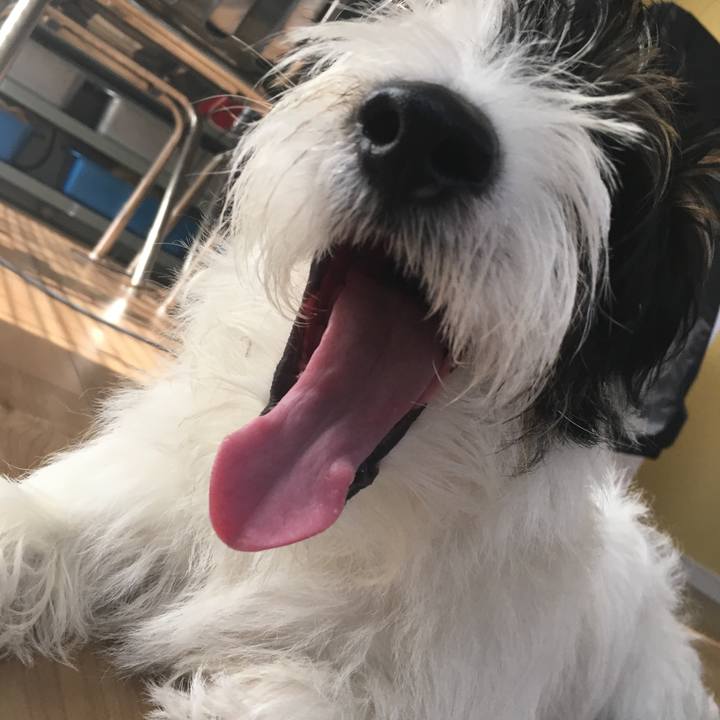 A94c134b d436 45bb ae11 448059d9b127