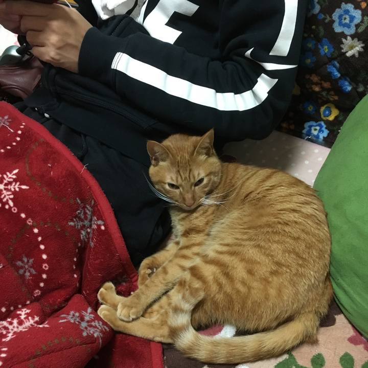 A94cadec 967d 4d62 8eeb 673831853de6