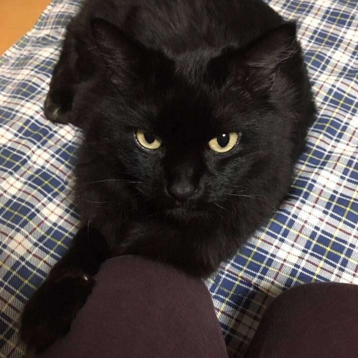 A94cbe6e 97be 4c16 aee0 ba20c8713d2e