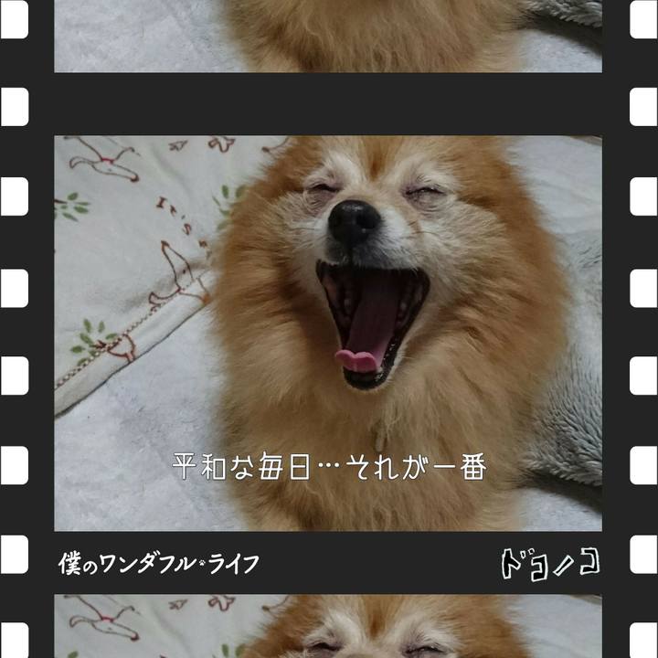 A94cf8a5 b870 478a 96d5 1ff9f6f29210