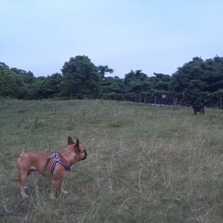 A94d14b4 b793 412e 9997 59973f37ab56