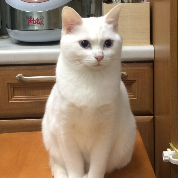 A94da2a1 f3f4 48c7 af96 6eb9ff59c889