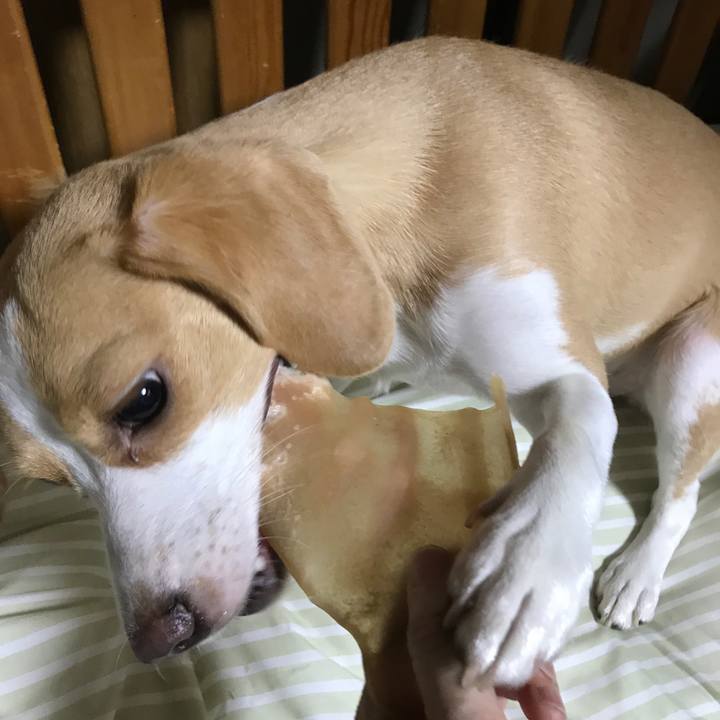 A94da966 f51d 444d 9629 3afd40aca91a