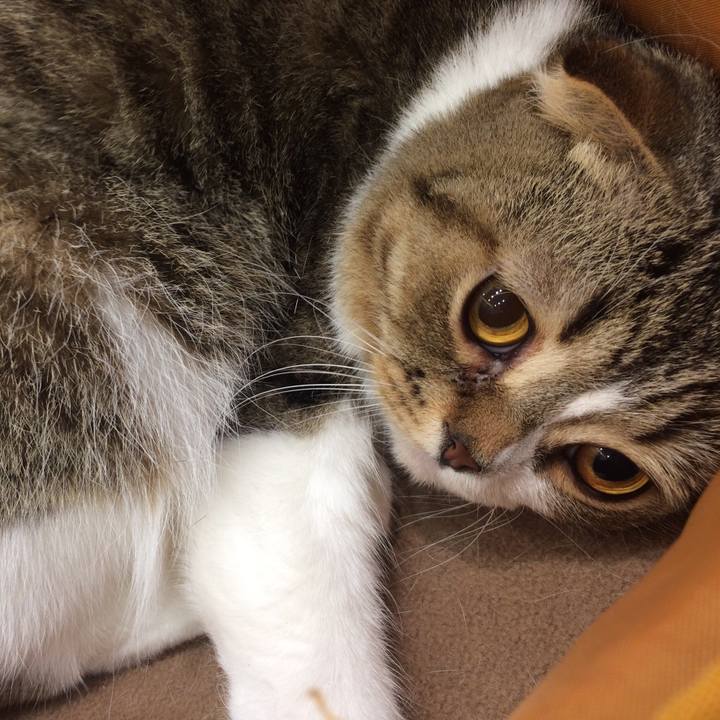 A94dc5ea 33e3 48bc a9d7 19b26b6f753c