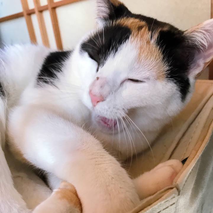 A94e07b8 29e2 478d 99f8 bab202d84fb2