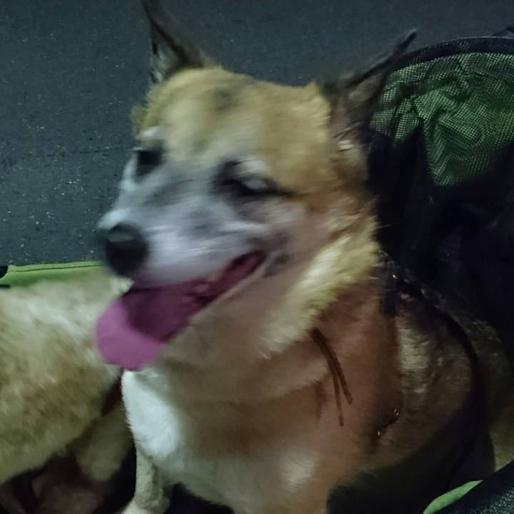 A94e61a3 bf23 4773 9168 79326be6829d