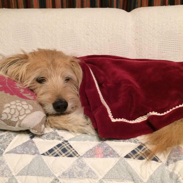 A94ec7bf 9ee1 4b65 a3e1 b01cb42539fa