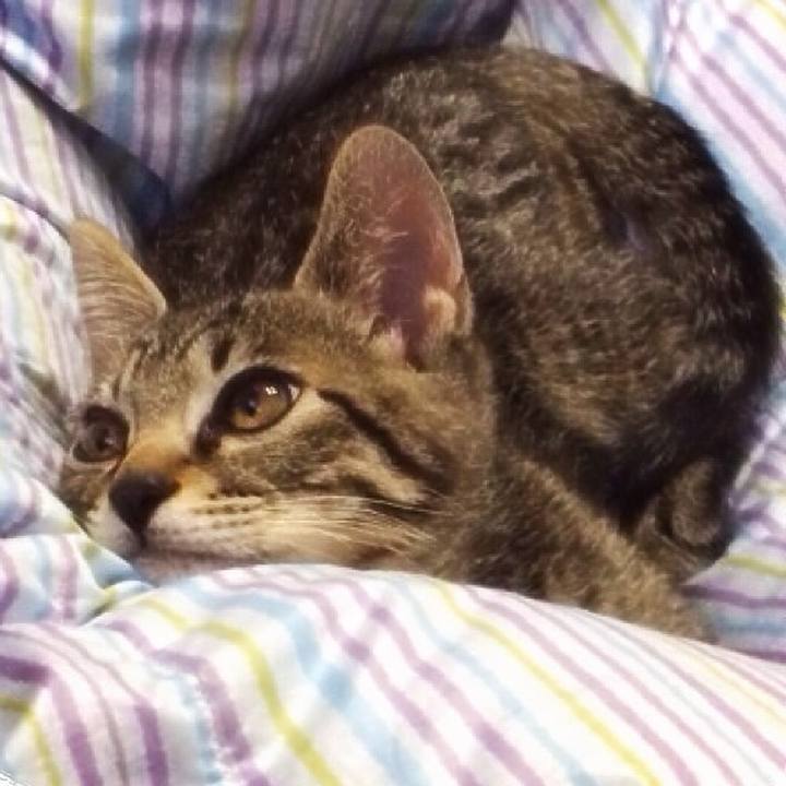 A9501852 e421 4616 a1b8 ffe1b0927920