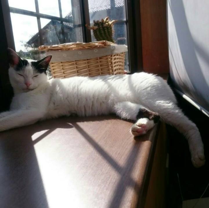 A95020ad 9285 4b56 82d8 d2aa8dbedd32