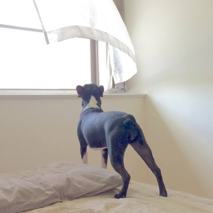 A9504b53 c92c 455d a88b e00b474c7ef0