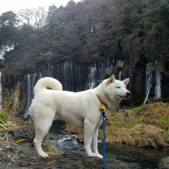 A950542c 3584 4c44 95c0 4419dfb5d239