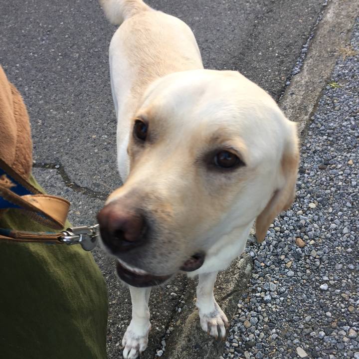 A9509bdc ffd7 4916 a30c 1f219f8b3e8c