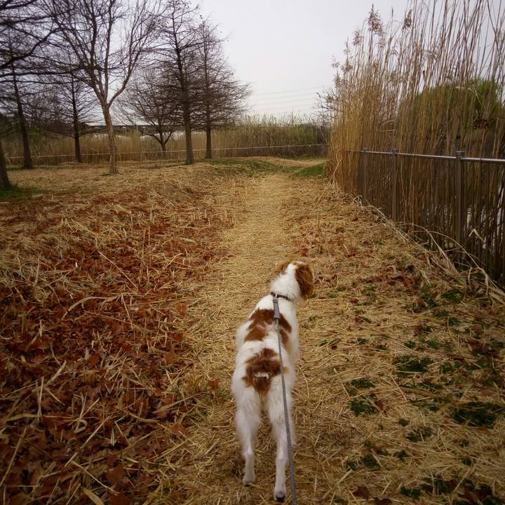 A9515608 642b 40f5 b6b9 689f8770cfab