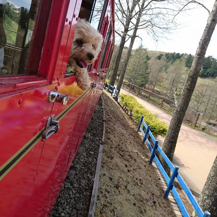 A9516b2b cef5 492c 833a b491a9f5b47d