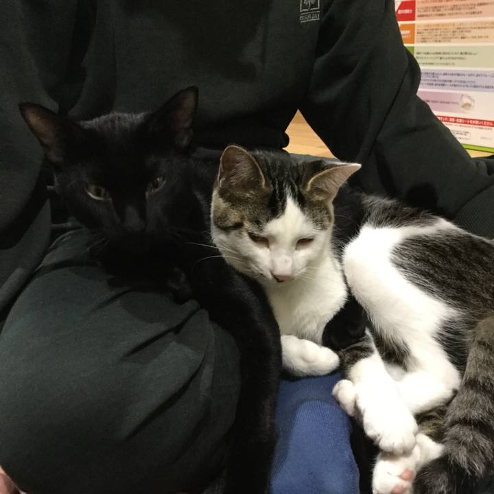 A95180f7 5144 49df b2a5 efa27cd68974