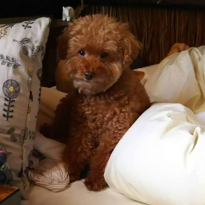 A95188b1 ae49 4a7c b8c5 7204a38288bb