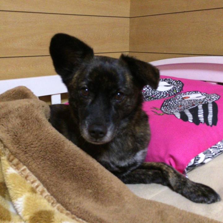 A951a54d af52 4367 94fb ce2df668abee