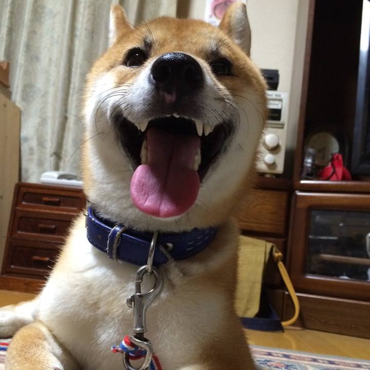 A95204f3 868d 4a07 849d 575b2088f7f7