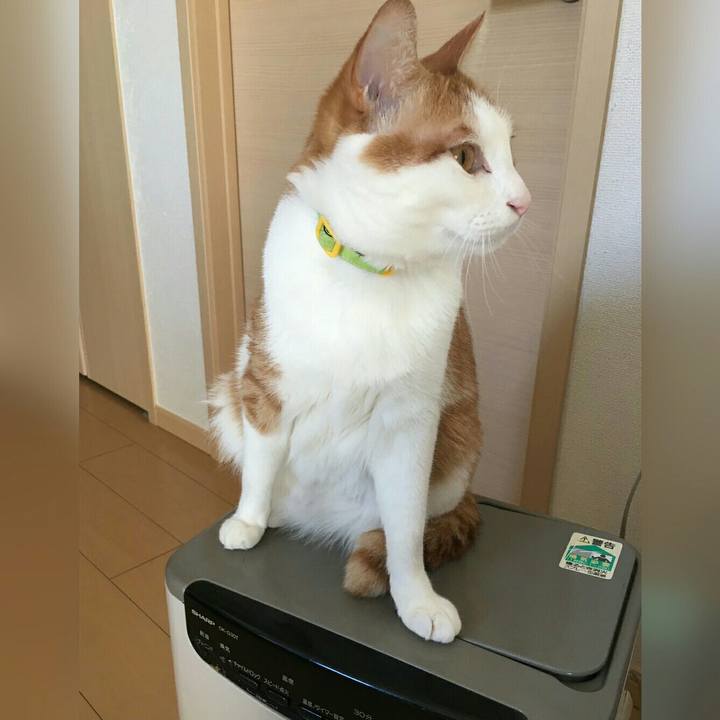 A952220a 4c00 428a b668 05cfadd8c20a