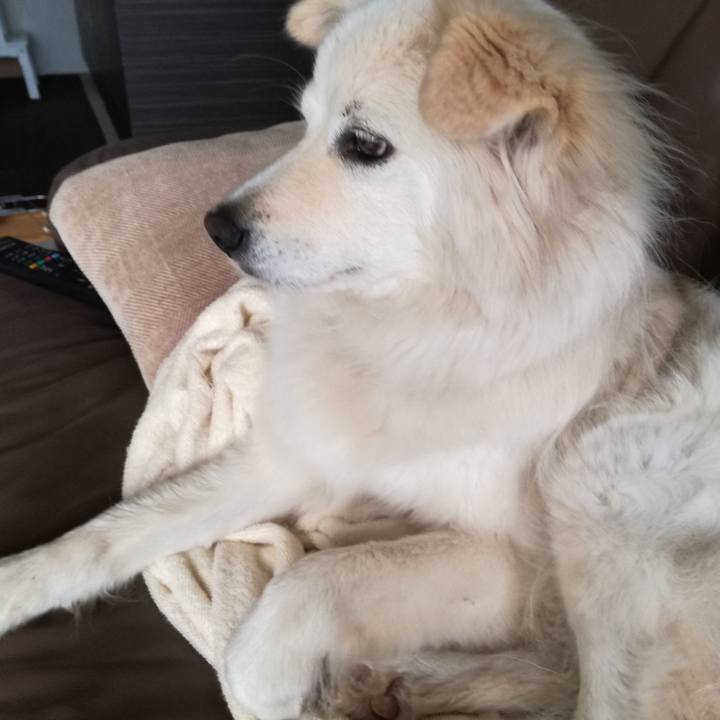 A95338be 52e3 42bf 9a8a 17e1f6416d01