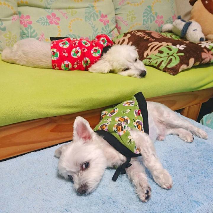 A95341a9 9469 400a b2a2 a2094688ae46