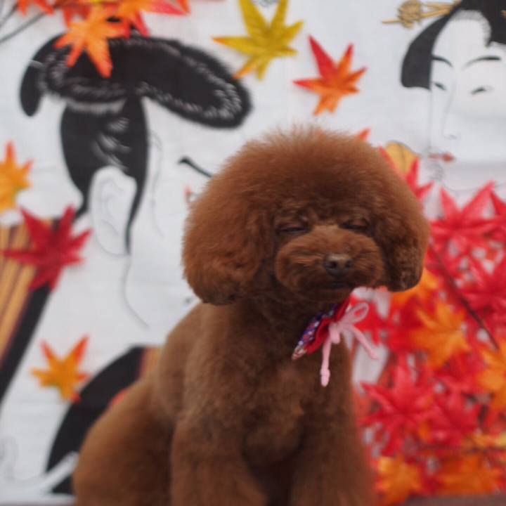 A954280e 00e7 42e3 a002 3396b03d8331