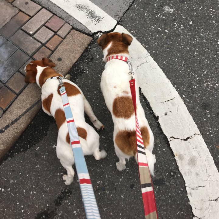 A954a899 6660 4bc6 bba6 632653e447ee