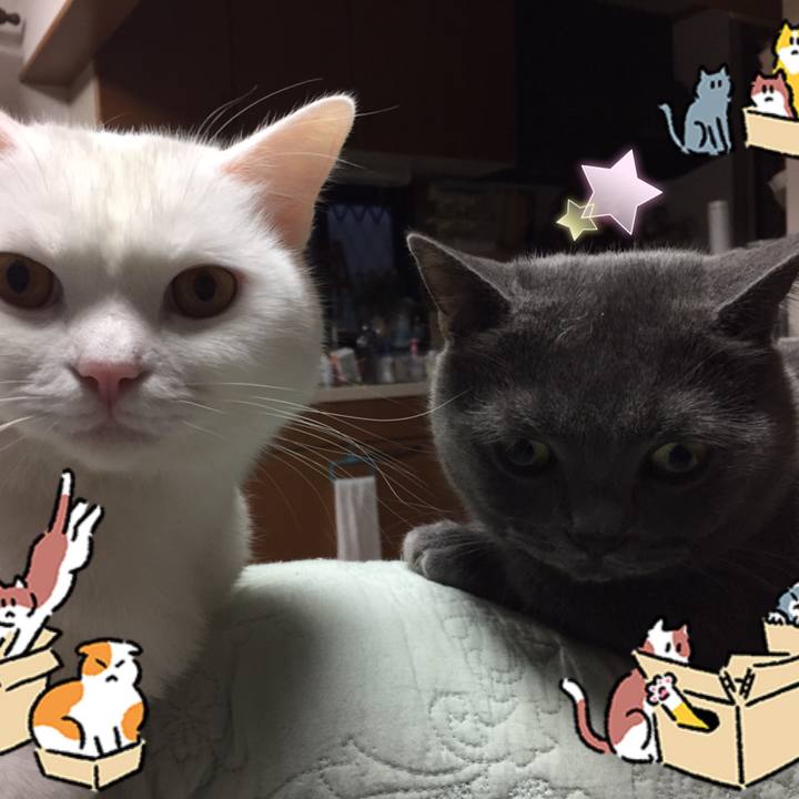 A9551ce5 d0ee 4d9e b4b0 c909422bb3fe