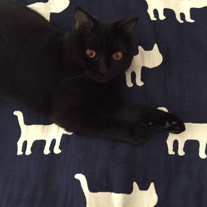 A9552a2a d006 42ad b543 19e3507145a8