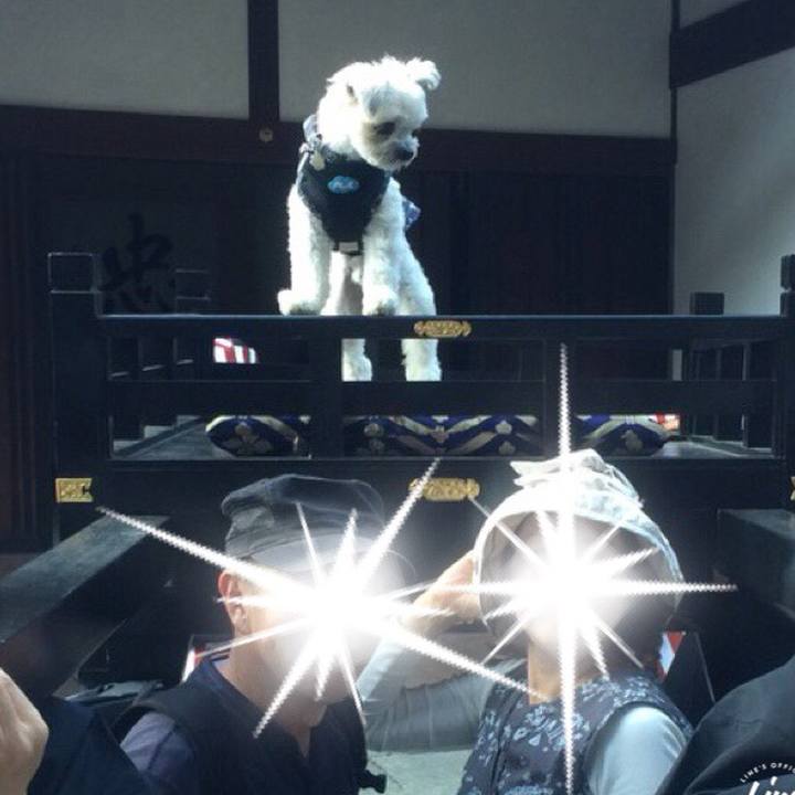 A955a906 c526 4bde a52f 8b56b8d21965