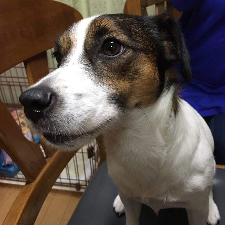 A95630ff a275 471e a7a6 561af0350f15